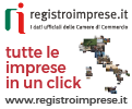 bannere registro.imprese.it