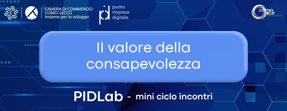 PIDLab 3