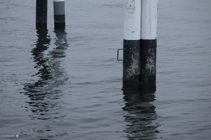 Noi, i protagonisti 2025 - 10